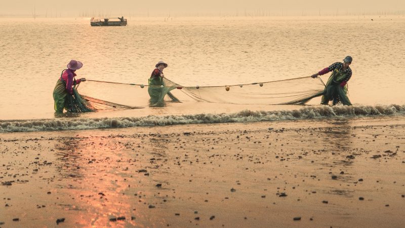 China Fishery Group: A Comprehensive Analysis of a Global Fishing Company