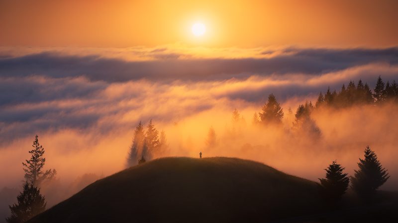 : “San Francisco September Weather: A Symphony of Fog, Sunshine, and Indian Summer Delights”