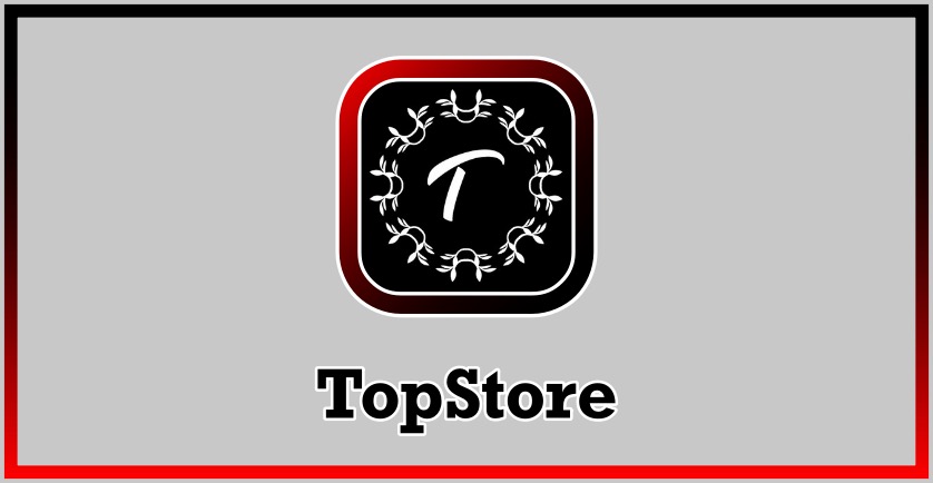 TopStore Download