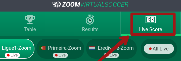 Zoom on roku tv