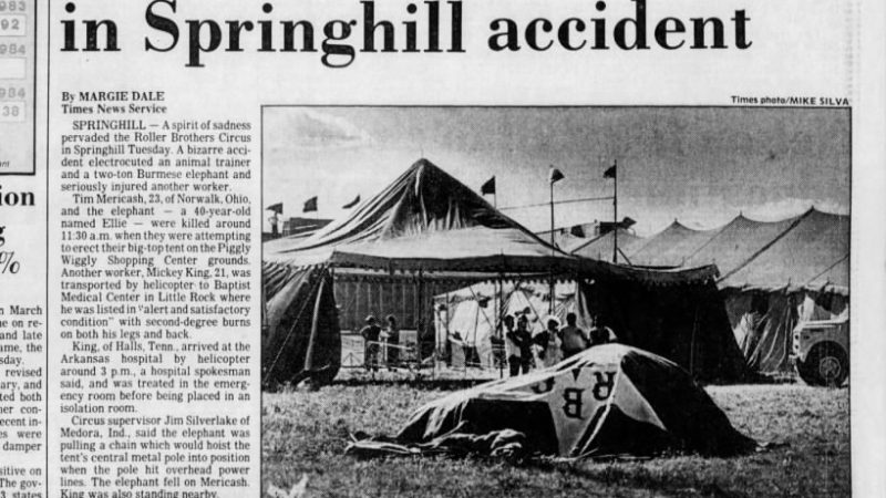 Springhill La News